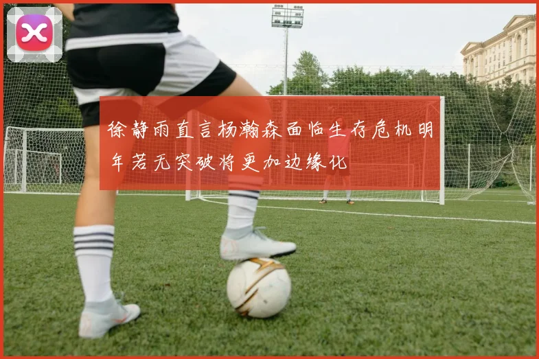 徐静雨直言杨瀚森面临生存危机明年若无突破将更加边缘化